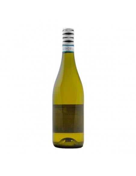 Bottiglia vino personalizzata: Trebbiano d'Abruzzo, crea l'etichetta!