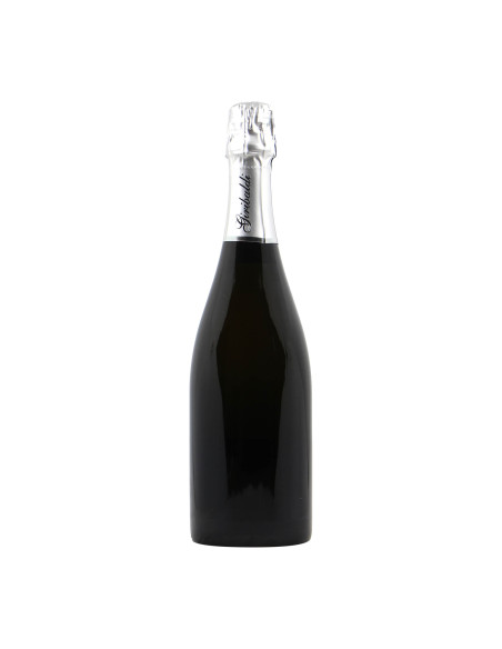 BOTTIGLIA VINO PERSONALIZZATA ALTA LANGA BIO EXTRA BRUT