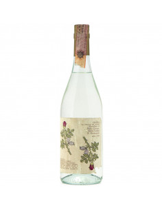 GRAPPA CORDERO DI...