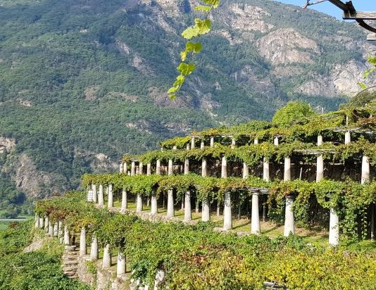 Carema Grandi Bottiglie