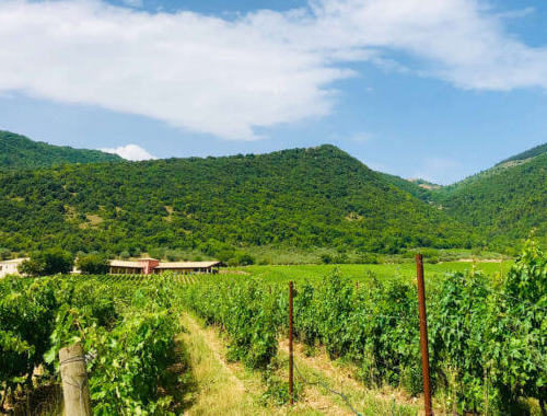 cantina-valle-reale- Grandi Bottiglie