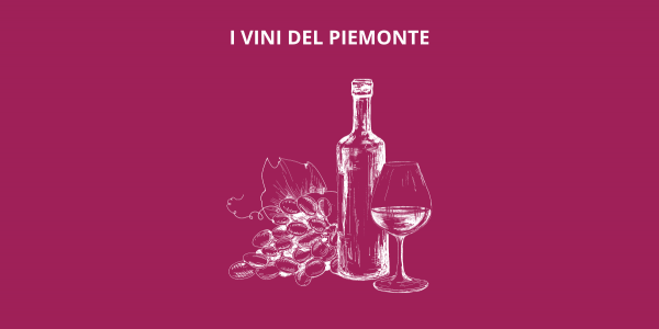Vini piemontesi, l'eccellenza italiana