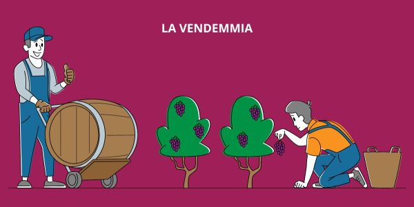 La vendemmia