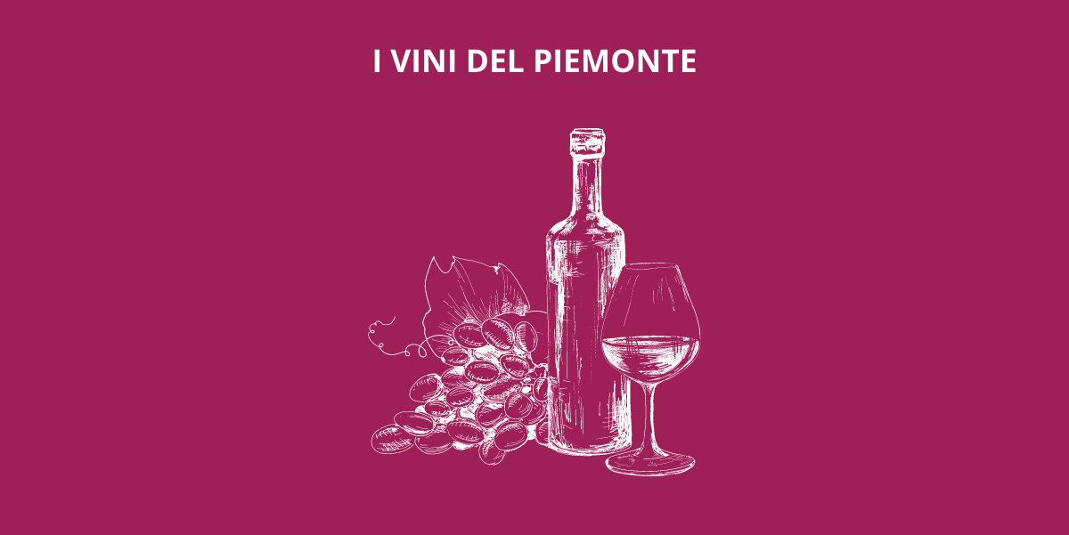Vini piemontesi, l'eccellenza italiana