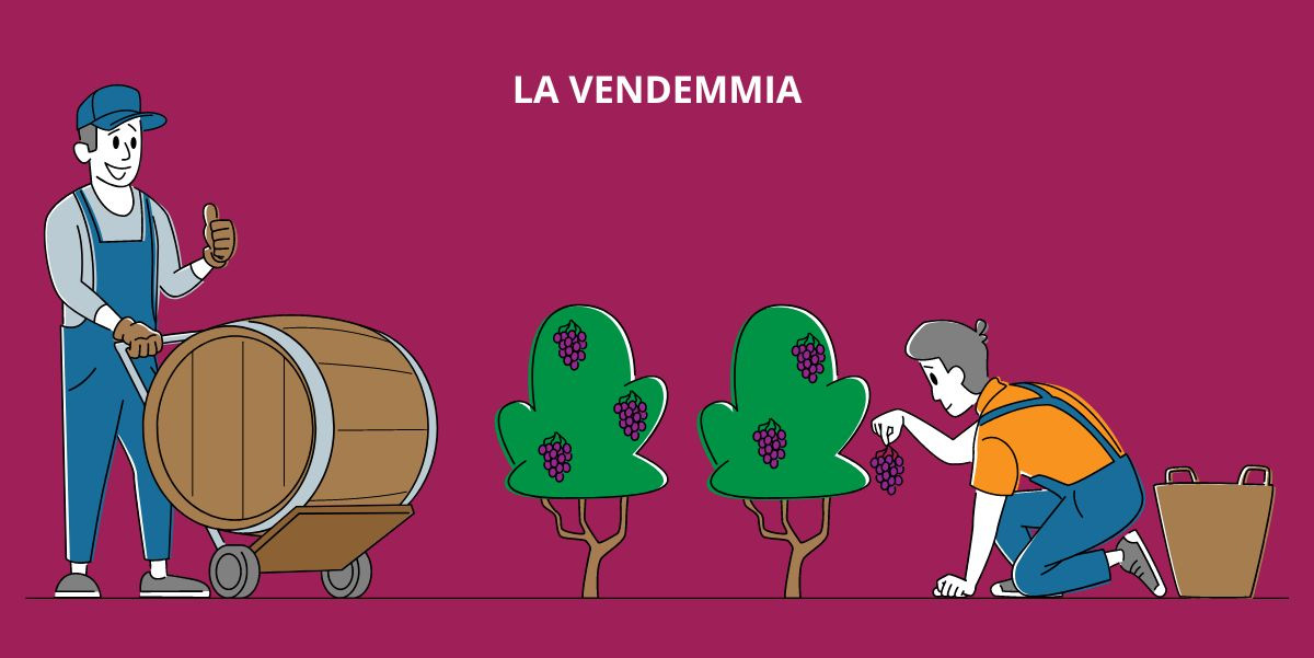 La vendemmia